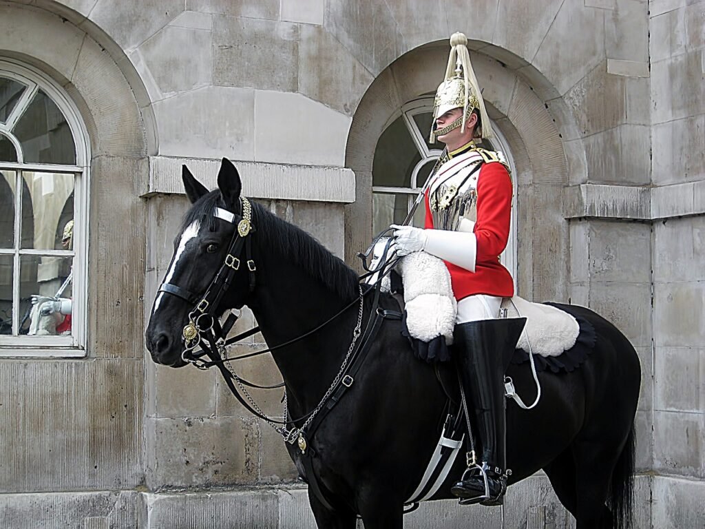 horse, guard, london-254677.jpg